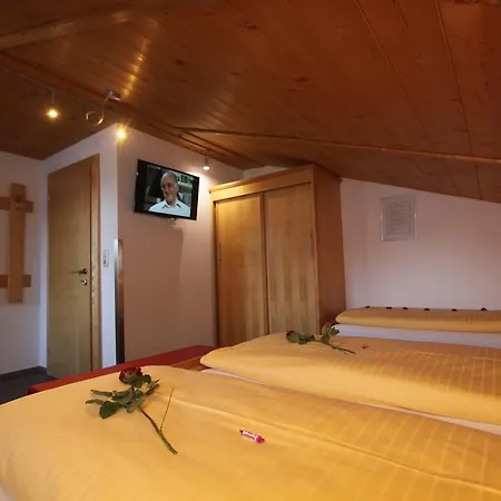 Gæstehus Gaestehaus Alpina 3*
